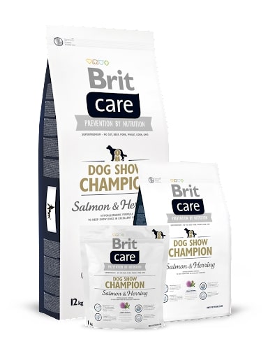 brit care dog show champion 1