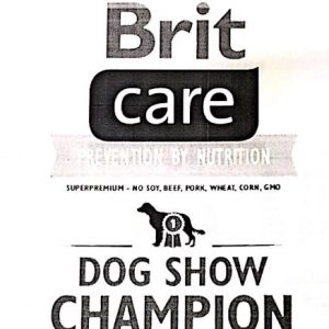 brit care dog show champion 2