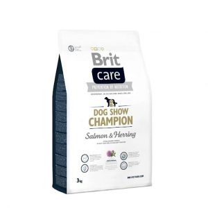 brit care dog show champion 3