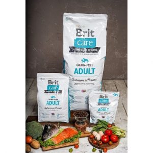 brit care grain free adult salmon & potato