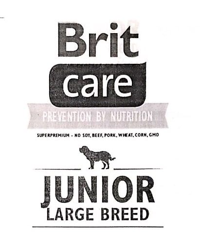 brit care junior large breed lamb & rice 3